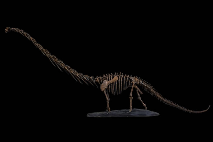 ���Ͷ�ü��3Dģ��