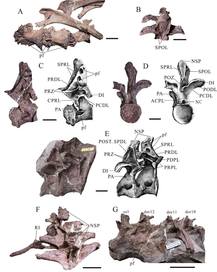 ���Ͷ�ü���ı�׵����,������10cm