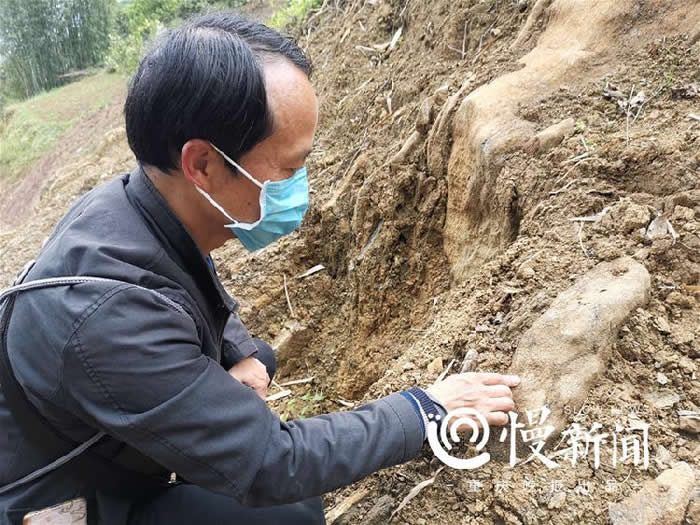 ������������󺣣�����ɽ���ֵ�1.8����ǰ˫���໯ʯ������֤��