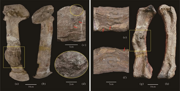 �Թ���������ݵ����֮������ƽ�����������Ĵ��޼�������Ȼ���۹�