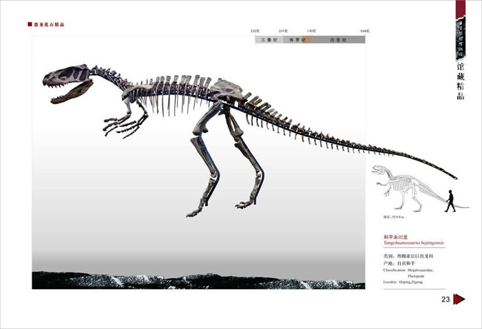 ��ƽ������