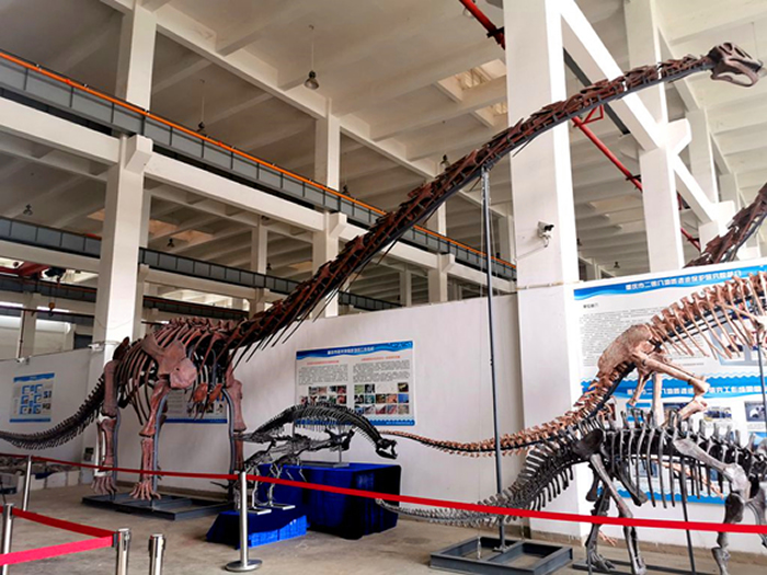 ��ԭװ�ܵ����Ͷ�ü������������ί��������ͼ��