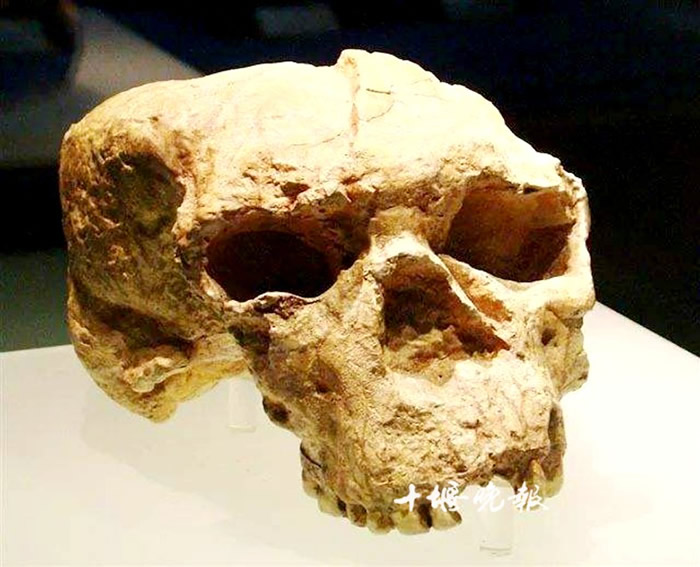 1989��5��18���������������־��100�����ֱ����ͷ�ǻ�ʯ�����������ˡ�