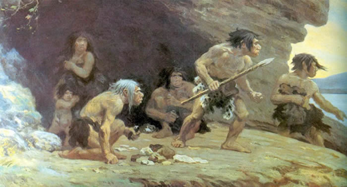 ����Ȼ-��̬ѧ����������ᰲ�������������Ч����