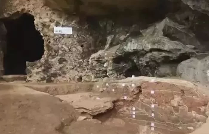 �㶫Я���й��Ļ��Ų��о�Ժ��Ӣ��������ַ������ɹ��ҿ�����ַ��԰