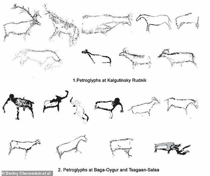 �һ��ж��ֶ��������