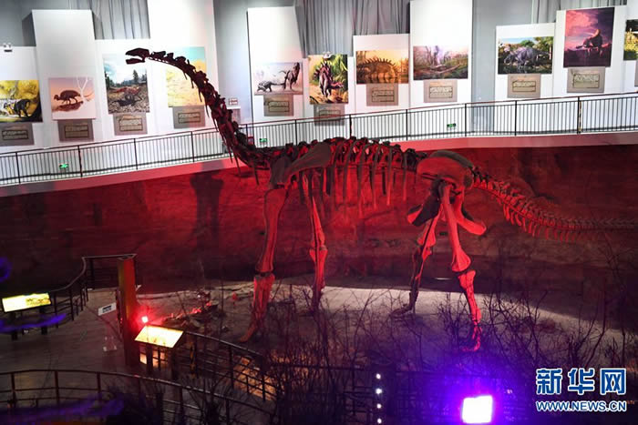 ̽�ú��������������ҵ��ʹ�԰