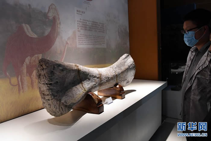 ̽�ú��������������ҵ��ʹ�԰