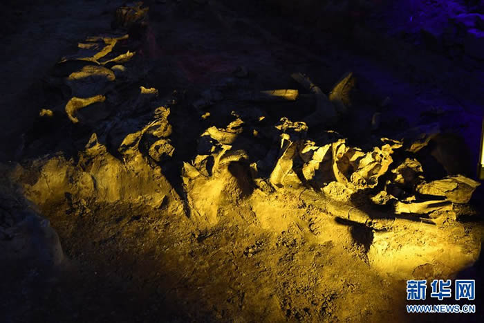 ̽�ú��������������ҵ��ʹ�԰