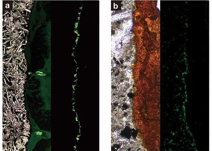 �о����ֺ���1.04����ǰ��ɽ��ʯ��΢С�ѷ��д��ڴ���ϸ��