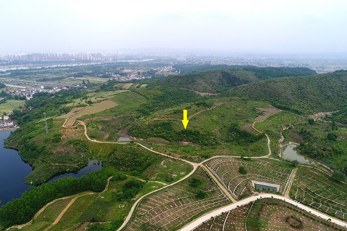 2019���ȫ��ʮ�󿼹��·��֣����뺺����֣�������ʯ����Ѩ��ַ������������