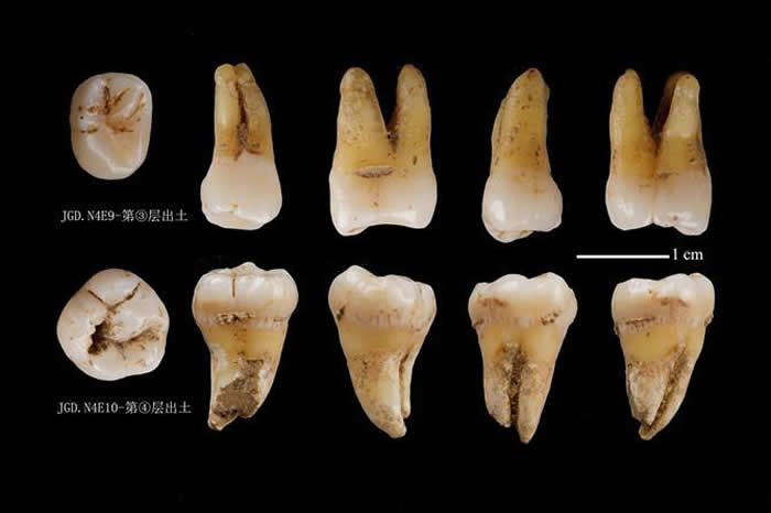 2019���ȫ��ʮ�󿼹��·��֣����뺺����֣�������ʯ����Ѩ��ַ������������