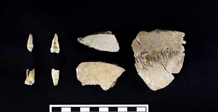 2019���ȫ��ʮ�󿼹��·��֣����뺺����֣�������ʯ����Ѩ��ַ������������