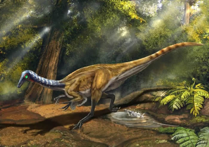 �������������������еġ������ء�