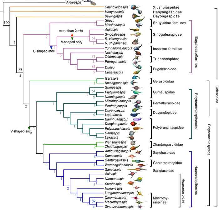 �������Ǹ�ϵͳ������ϵ��ϵͳ���ࣨ��־���ṩ��