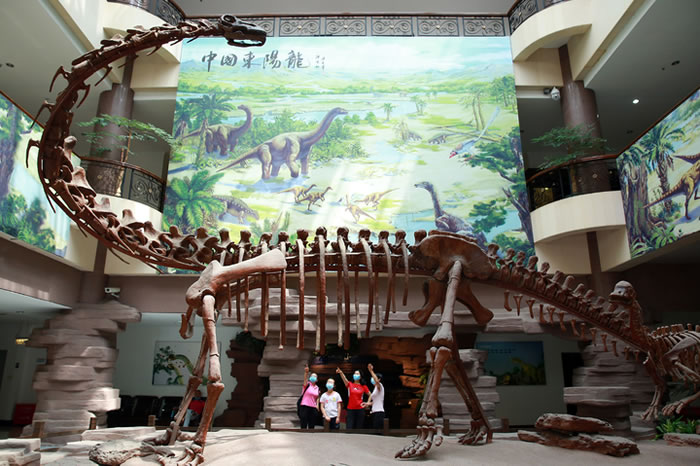 �㽭��������������ݡ�ӭ��һ����һ���ι���