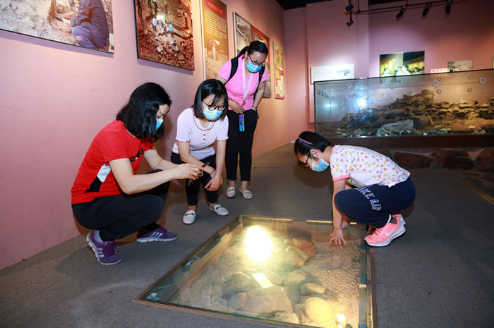 �㽭��������������ݡ�ӭ��һ����һ���ι���