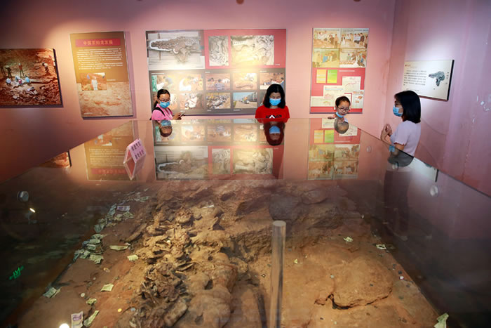 �㽭��������������ݡ�ӭ��һ����һ���ι���