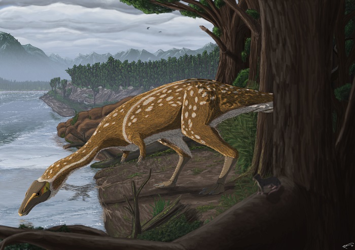 ĴǷֿ֣ӡݵİסEra the Elaphrosaur