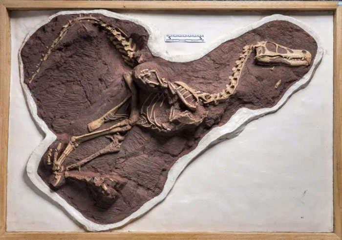 �ٺӵ�����ʯ