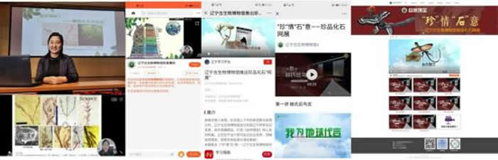 辽宁古生物博物馆快手直播讲座《花开何时?——植物化石有话说》成功举行