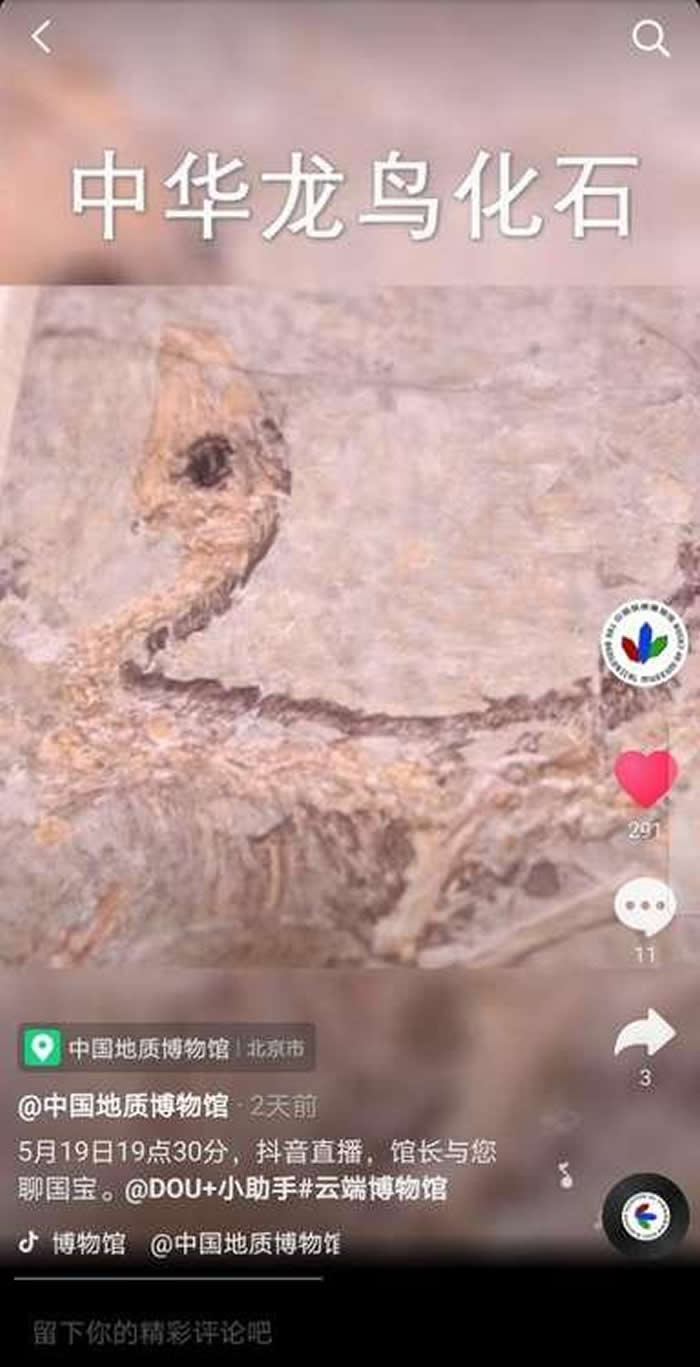 �������й����ʲ���ݺ����Ƴ����ݳ��Ĺ�����������Գ��ͷ�ǹ��ذ����ߡ�ֱ��