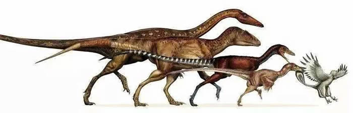 �򰮷�����Ĳ�ֻ����ף ���ܻ��п���