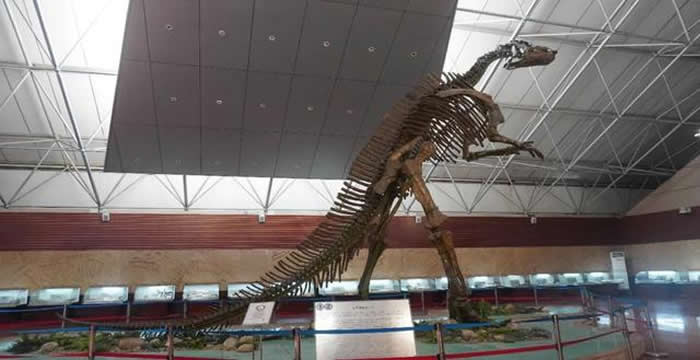 �޴������