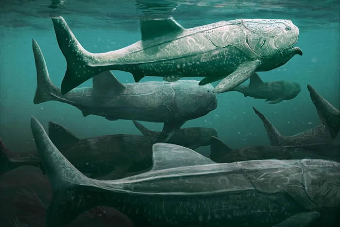 撒哈拉发现3.8亿年前史前海洋中巨大的滤食性鱼类Titanichtys
