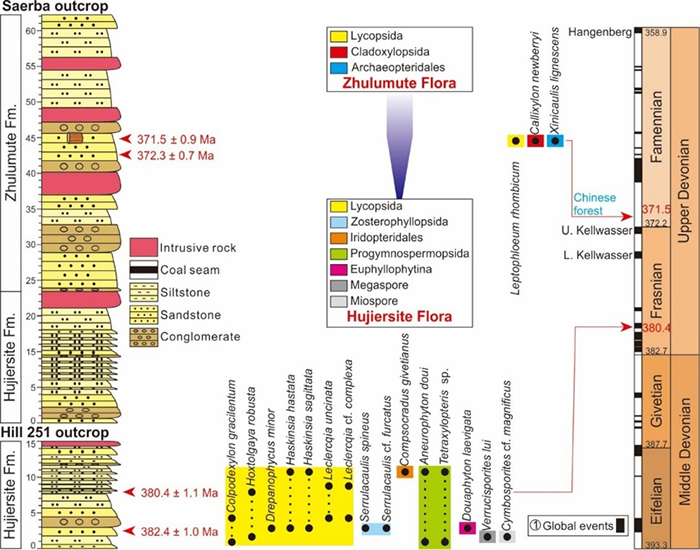 �½�������׼���������С���������ֲ��Ⱥ��ò�仯���������