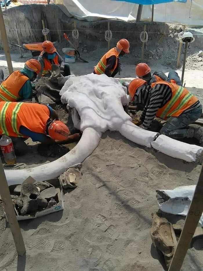 ī����ʥ¬�����з����塤������˹���ʻ����������ط���60��������ʯ