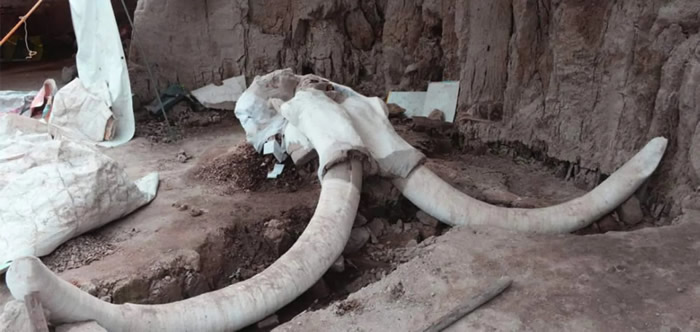 ī����ʥ¬�����з����塤������˹���ʻ����������ط���60��������ʯ