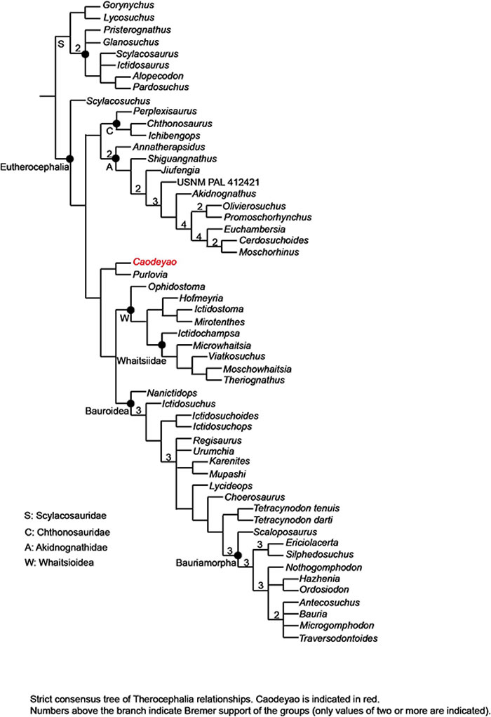 ������ͷ���ϵͳ��ϵ�����������ʾ�ܵ�Ң�޵�λ��