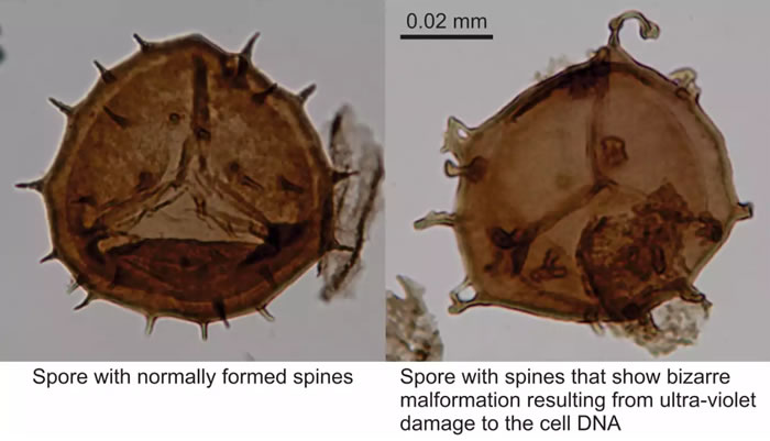 3.59����ǰ����������⵽�������ƻ� ����������ʱ������ȫ������