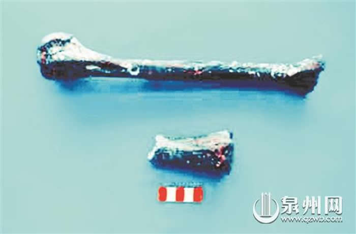 ��һ�����ڶ�������Ͽ�ˡ���ʯ