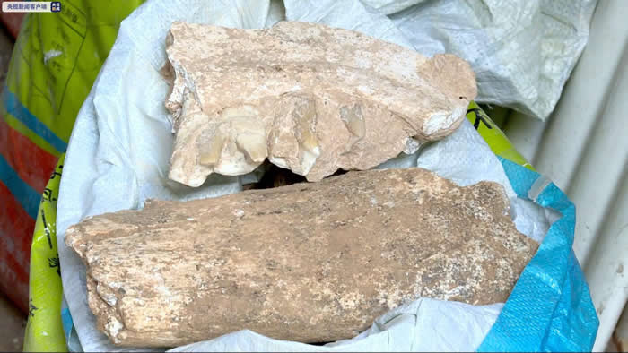 陕西榆林府谷县警方打掉盗掘古脊椎动物化石犯罪团伙