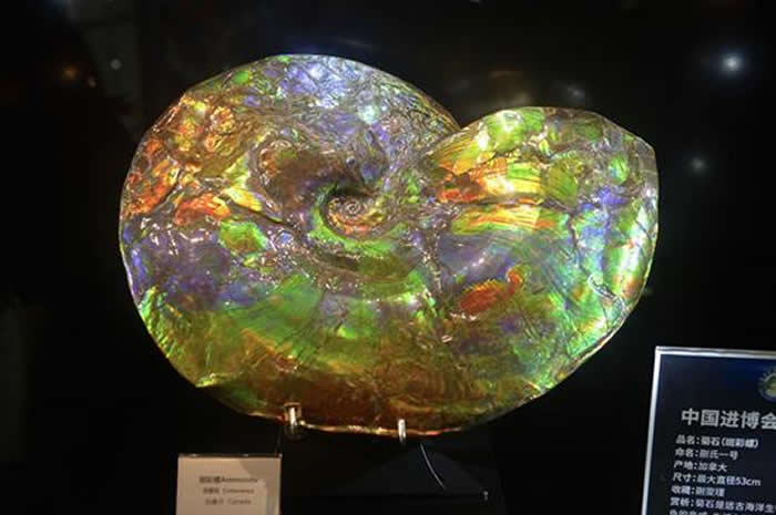 ��21���Ϻ����ﻯʯչ�����Ϻ��п󾧻�ʯ��������ڿ���