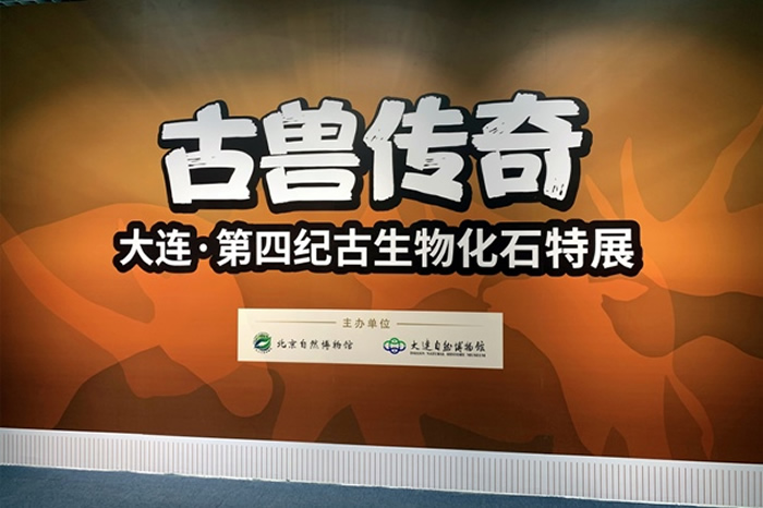 ޴桪ļ͹ﻯʯչڱȻʱչչ