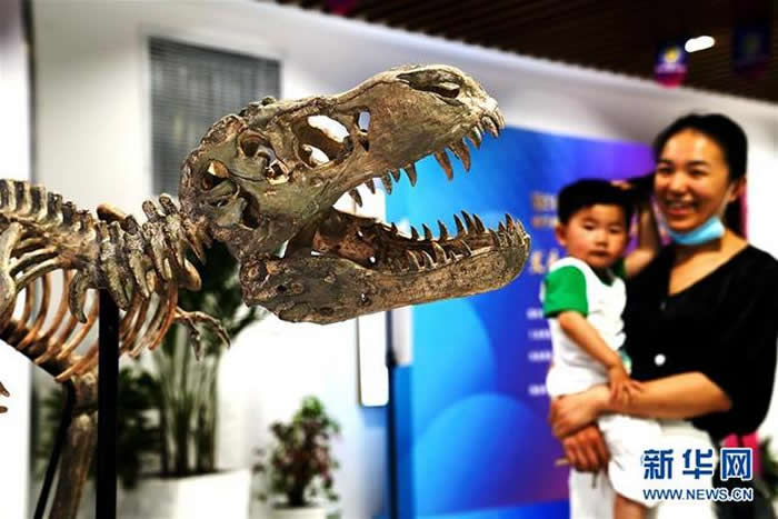 ��21���Ϻ����ﻯʯչ���Ϻ������������ǿ�Ļ