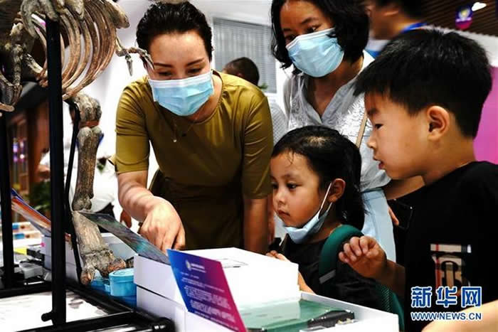 ��21���Ϻ����ﻯʯչ���Ϻ������������ǿ�Ļ