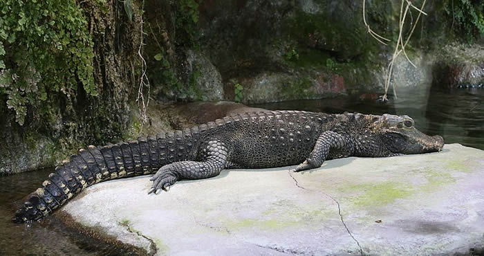 ���㱻��Ϊ���ʯ���������Կ���ʱ����������û�иı����