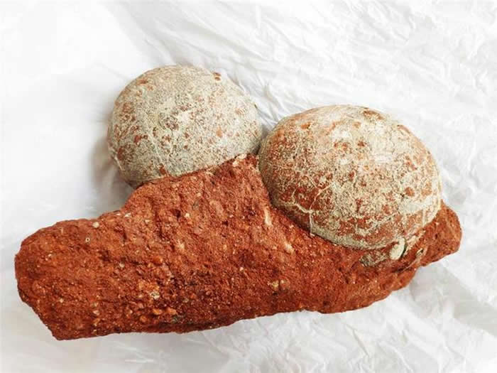 ���ں�����㶫ʡ��Ȼ��Դ���ƽ���û�����ﻯʯ142��