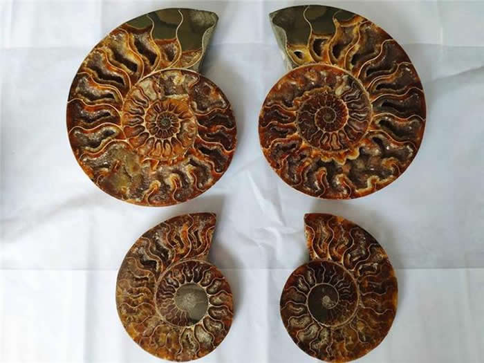 ���ں�����㶫ʡ��Ȼ��Դ���ƽ���û�����ﻯʯ142��