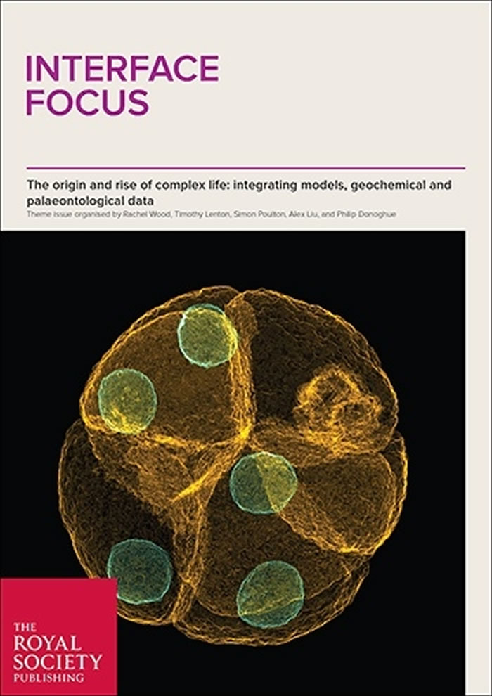 ���ĵ�������־����