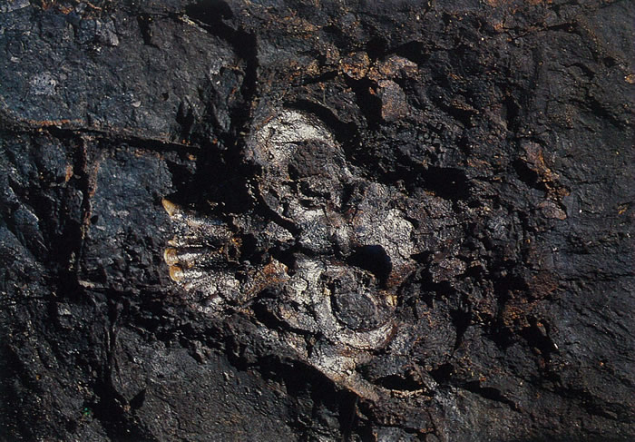 ����ͼ��»���Գͷ�ǻ�ʯ