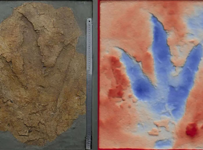 ���о�ͨ����ʿ��ú���з��ֵ��㼣��ʯȷ���ڰĴ����Ƿ���������ʳ�Կ���