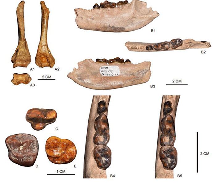 ���������ܻ�ʯ��������� ��ͼ��