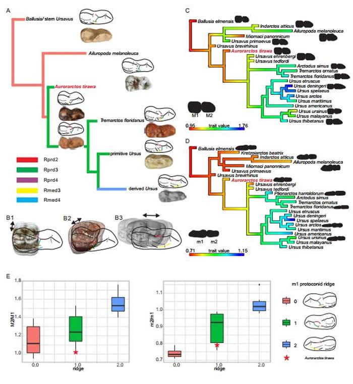 ���ǿƵ����ݽṹ�ݻ���������� ��ͼ��