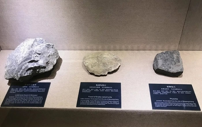 ��ɿ�����������ʯ����ַ��������ö�ָ����������ǹ�������ʷ��ǰ��100����