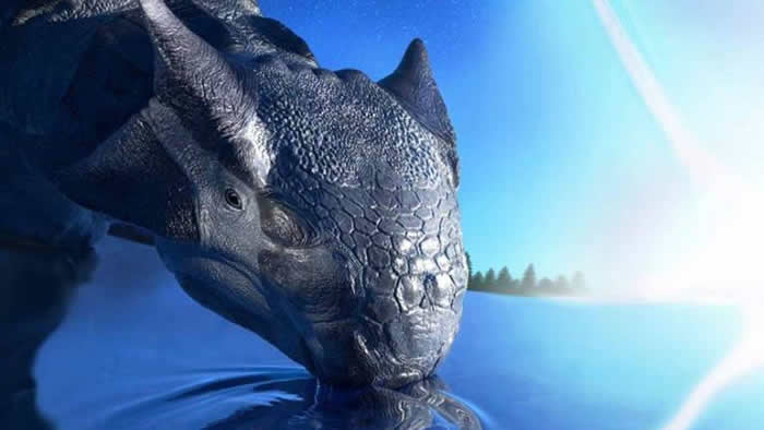 ���о���ʾֻ��С����ײ�����п�����ȫ��Χ�ڴ�����������������